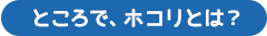 ところで、ホコリとは？