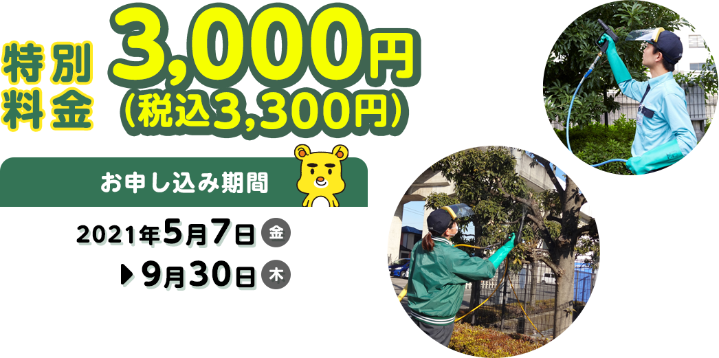 お試しキャンペーン