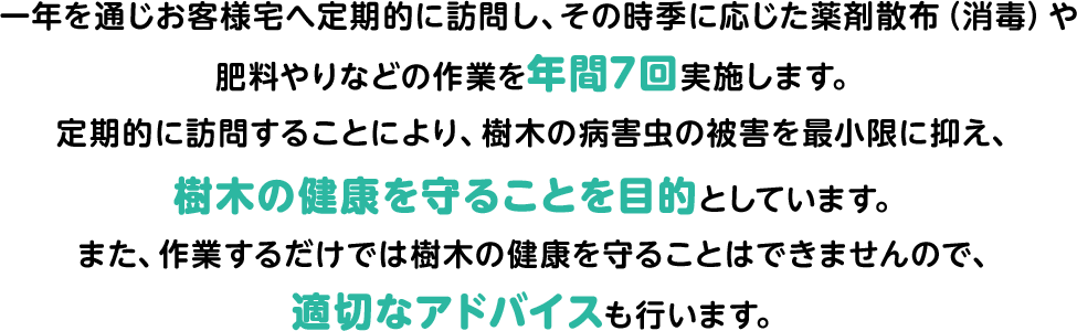 一年を通じお客様宅へ定期的に訪問し、その時季に応じた薬剤散布（消毒）や肥料やりなどの作業を年間7回実施します。定期的に訪問することにより、樹木の病害虫の被害を最小限に抑え、樹木の健康を守ることを目的としています。また、作業するだけでは樹木の健康を守ることはできませんので、適切なアドバイスも行います。