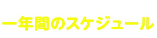 年間お手入れサービス一年間のスケジュール?