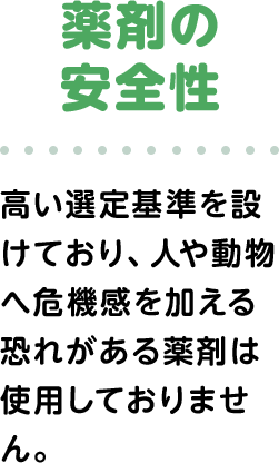 薬剤の安全性