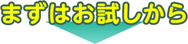 まずはお試しから